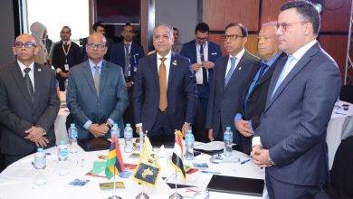 المصريين الأفارقة تناقش مع موريشيوس سبل التعاون الاقتصادي